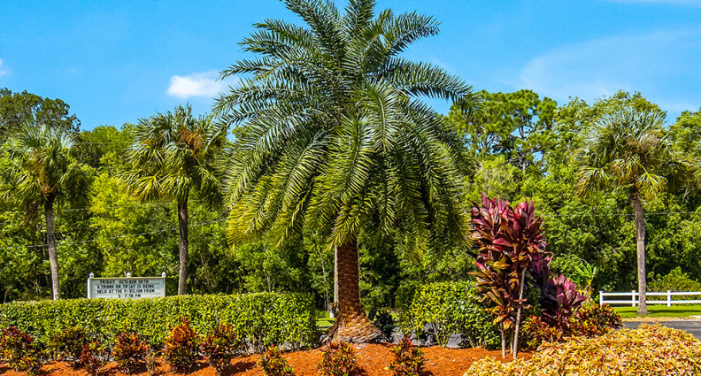 Island Vista Estates